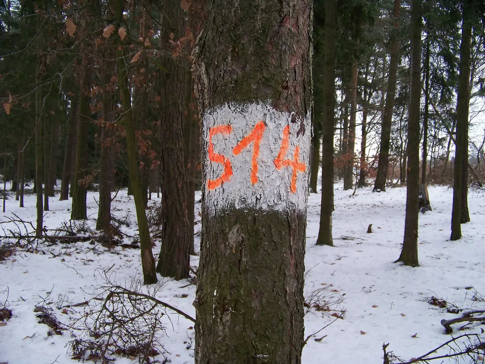 Mníšek pod Brdy-Stříbrná Lhota, Prague-West District, Central Bohemian Region, the Czech Republic. A forestry sign near the trail at Hřebeny. Hřebeny, 514