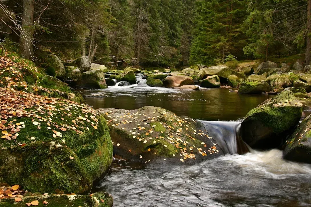 River Vydra, Czech Republic