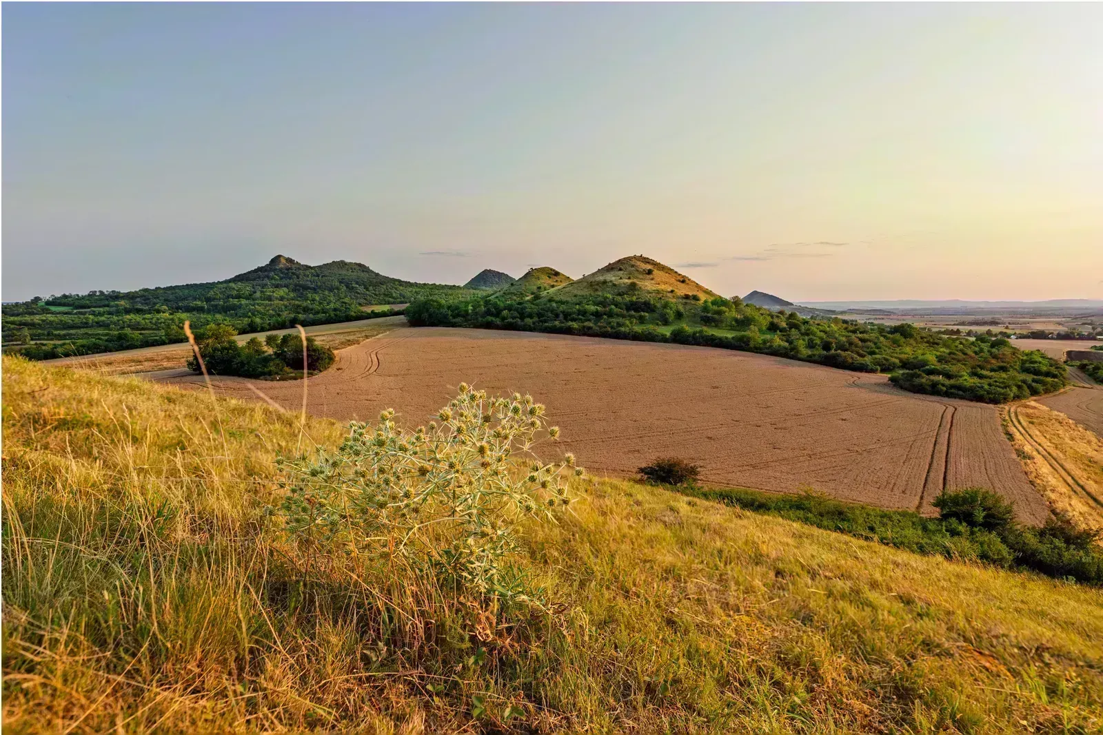 Hřebeny highlands ridge and forest