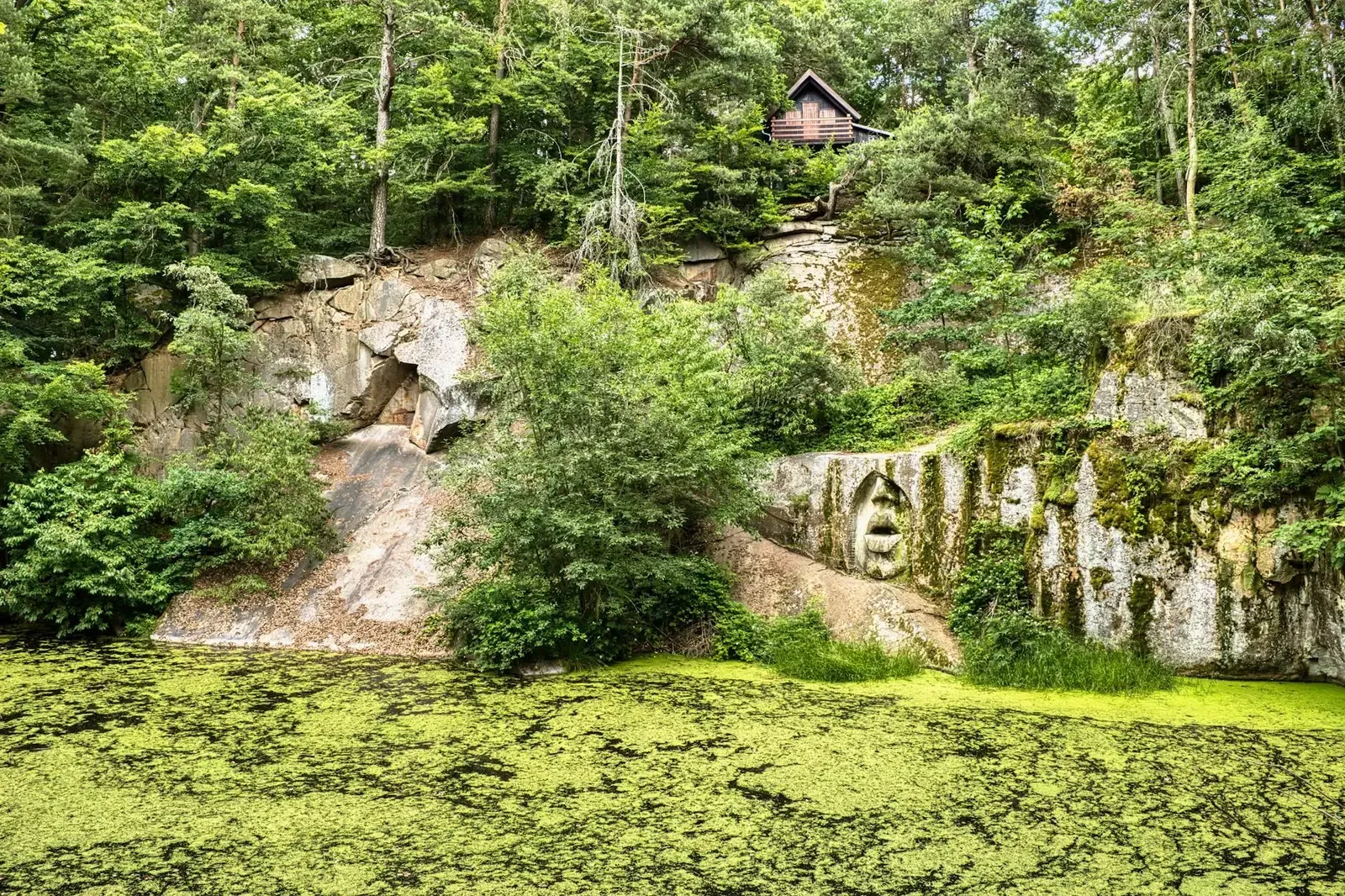Peaceful greenery surrounds a serene lake in Lipnice nad Sázavou, Czechia, capturing nature's calm beauty.