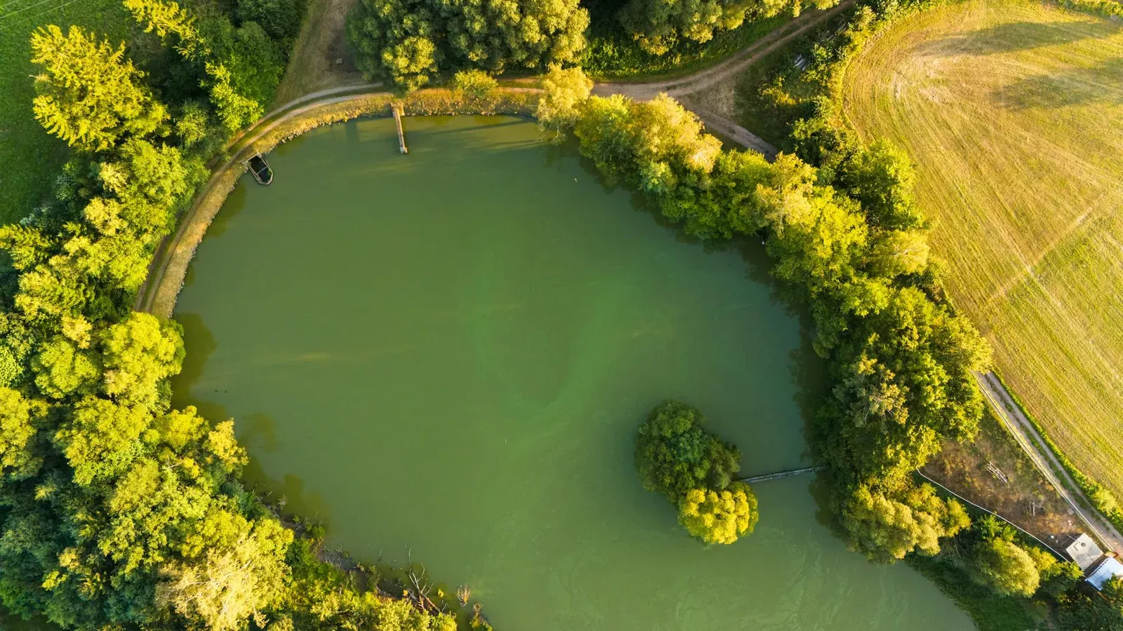 A tranquil aerial view of a lush green landscape surrounding a calm lake, perfect for nature enthusiasts.
