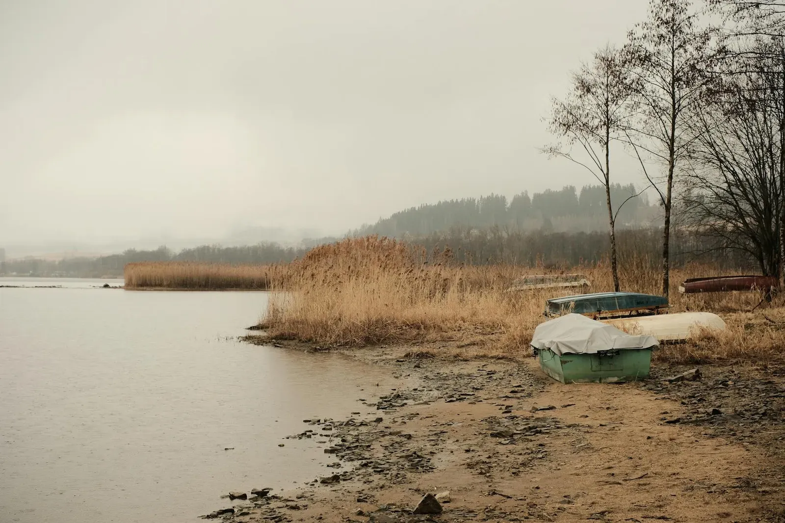 Tranquil lakeside scene featuring boats and reeds on a cloudy day in early spring.