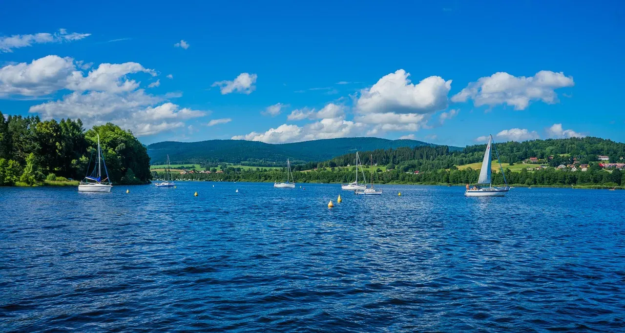 lake, reservoir, boats, czech republic, outlook, water, sailboats, summer, south bohemia, vacations, nature, landscape, lipno, lipnostausee, moldova, vltava reservoir, lipno dam, bohemia, summer holidays, summer vacation, water sports, sail, lipno, lipno, lipno, lipno, lipno