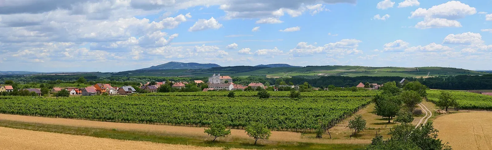 Drnholec (Dürnholz) and Pavlovské vrchy (Pollauer Berge) - Moravia Drnholec (Dürnholz) and Pavlovské vrchy (Pollauer Berge)   panorama