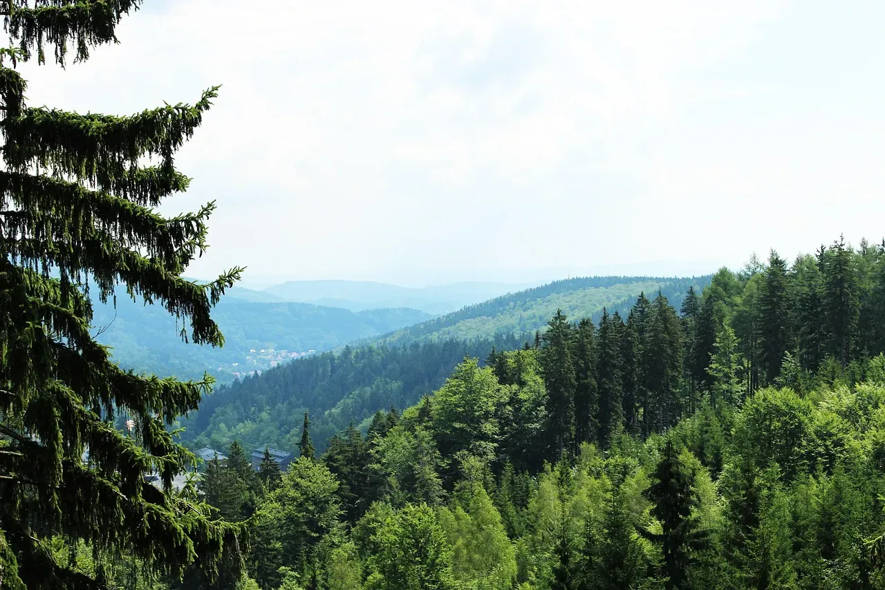 krkonoše mountains, nature, czech republic, forest, trees, trip, summer, country, mountains, panorama, sky, clouds, countries, sněžka