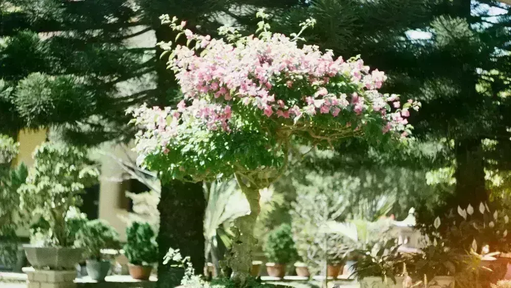 Romantic folly pavilion in the English park