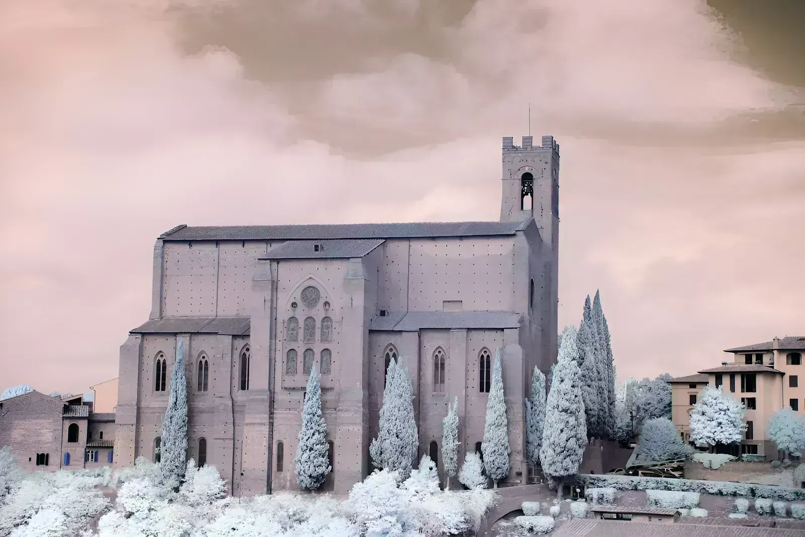 brown concrete building with snow covered trees during daytime