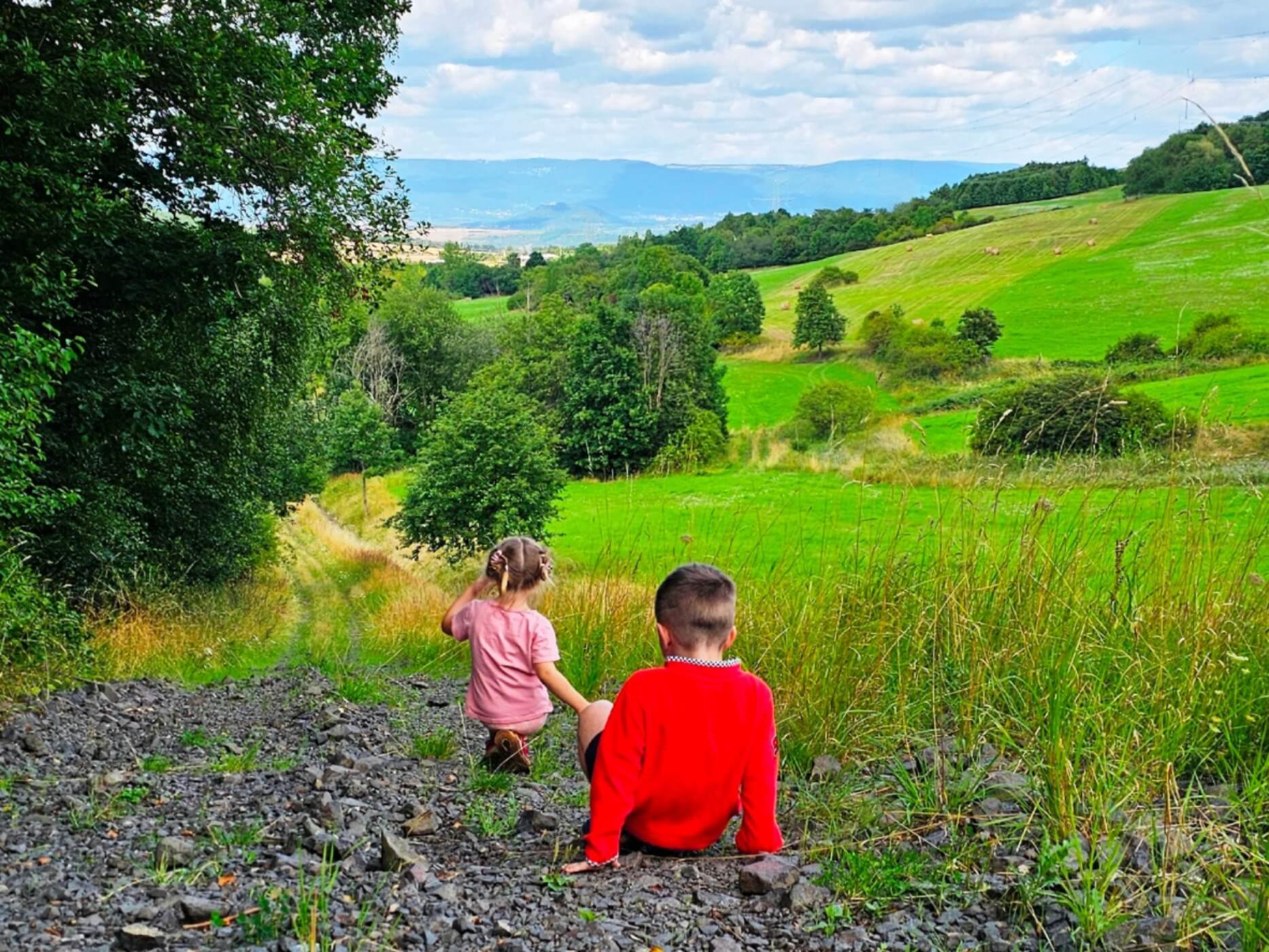 A hiker pauses in a lush green forest to look at a map, traveling at their own pace.