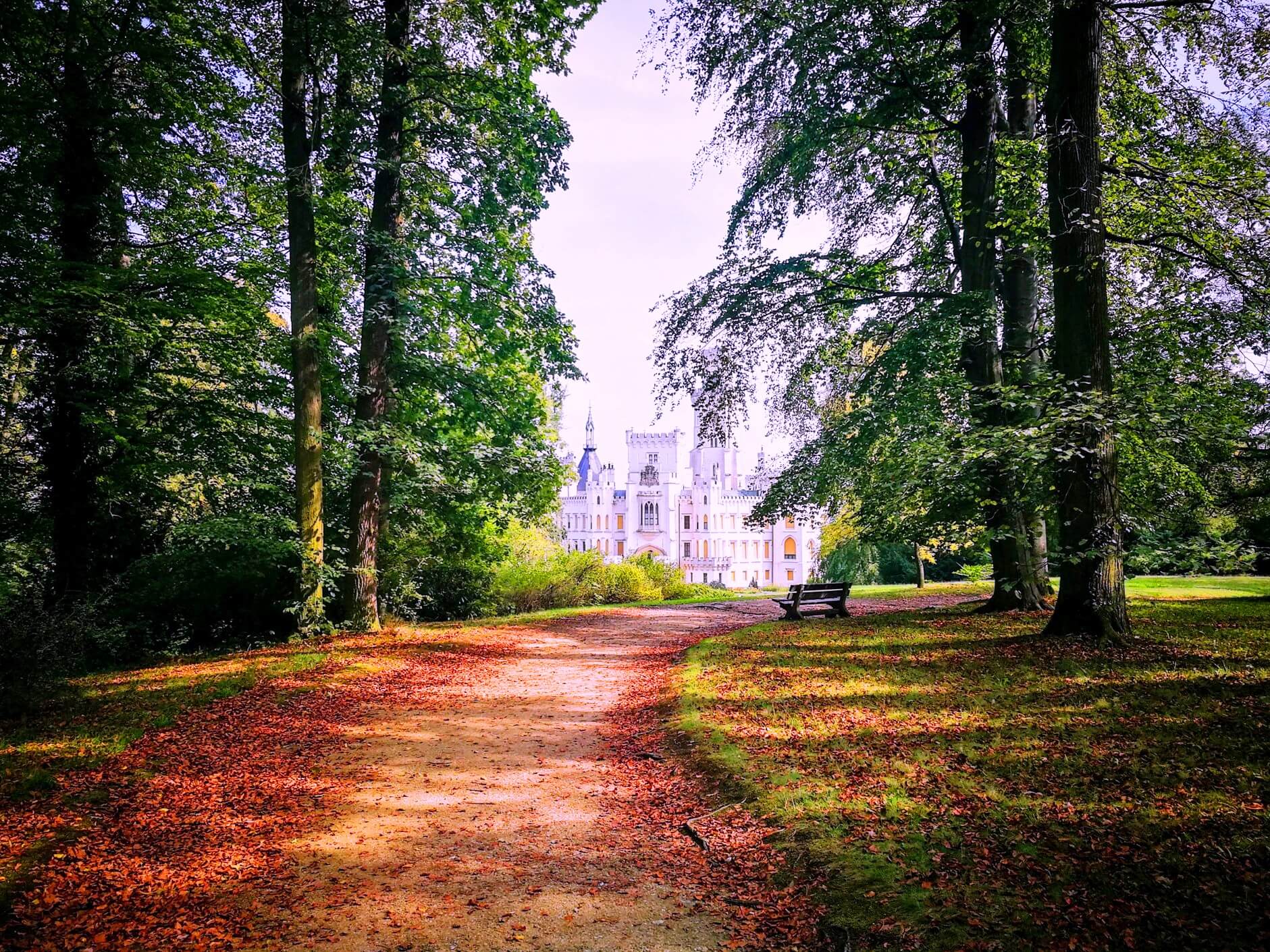 A smiling tour guide gestures towards a historic European street, ready to lead a private tour.